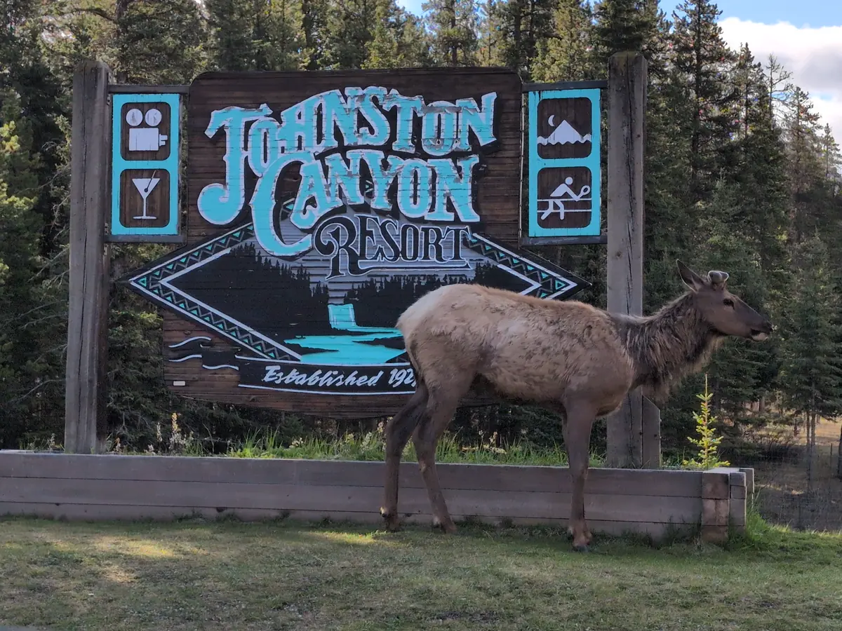 Johnston Canyon Resort sign