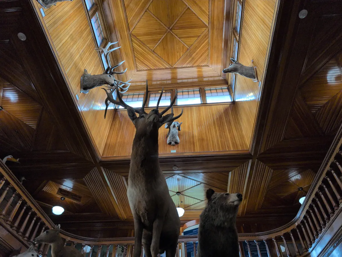 Natural History Museum